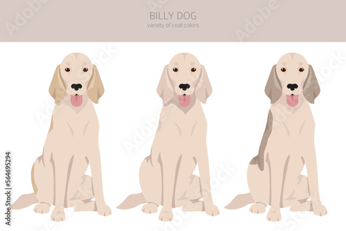 Billy dog clipart. Different coat colors and poses set