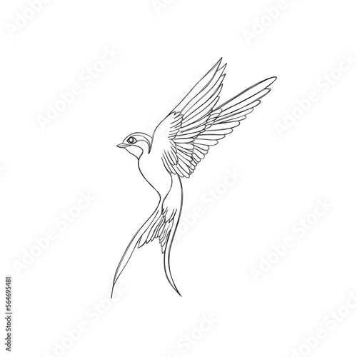Hand drawn swallow bird flying collection. Ink black and white drawing illust...