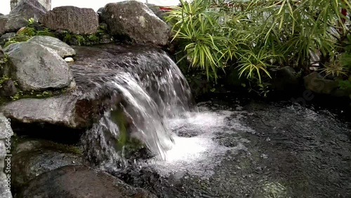 pond in the garden with mini waterfall