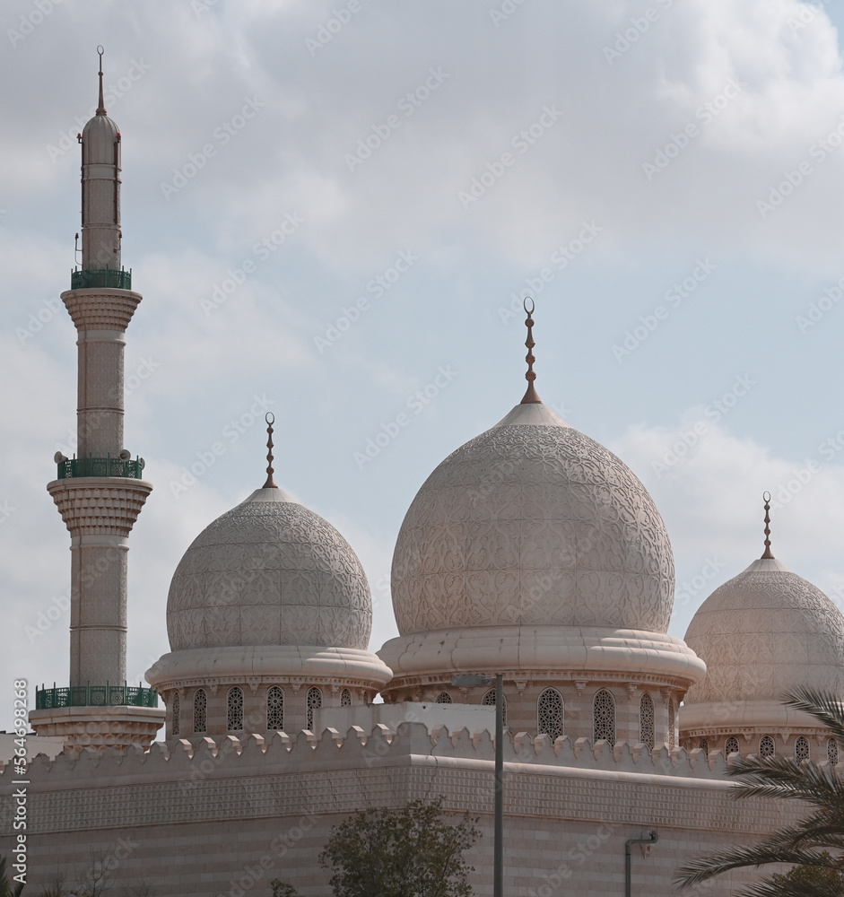 Fototapeta premium arabia, taj mahal, architecture, agra, taj, mosque, mahal, dome, building, mausoleum, marble, asia, travel, landmark, religion, monument, minaret, palace, malaysia, culture, white, sky, tourism, ancie