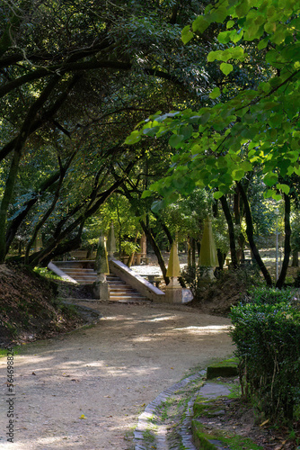 Fototapeta Naklejka Na Ścianę i Meble -  Walk in a old green park on a sunny day