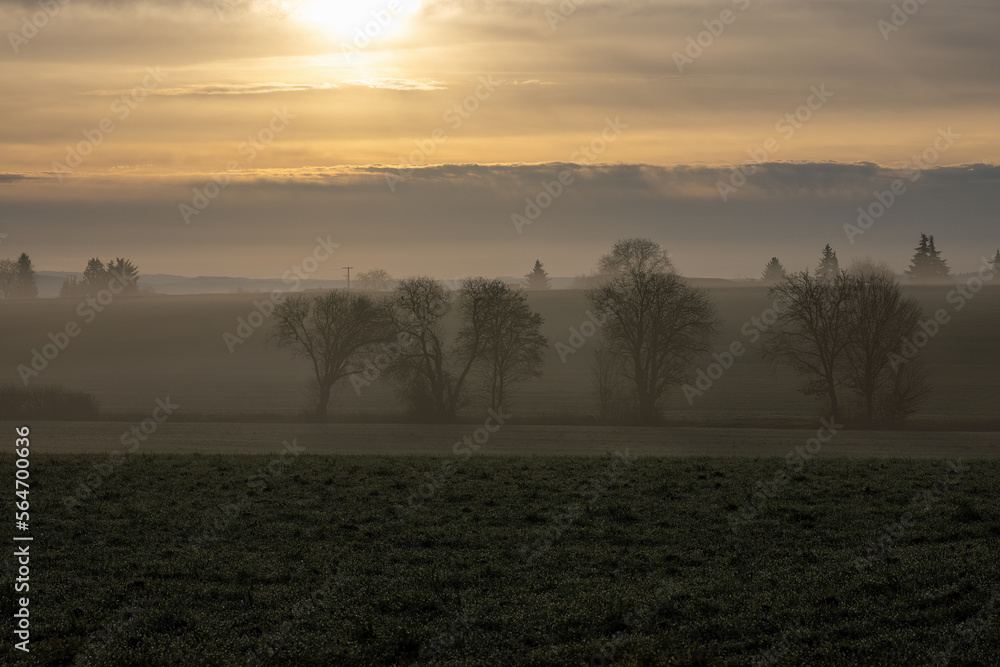 Deserted wintry landscape at sunrise with fog, hoarfrost, trees and fields