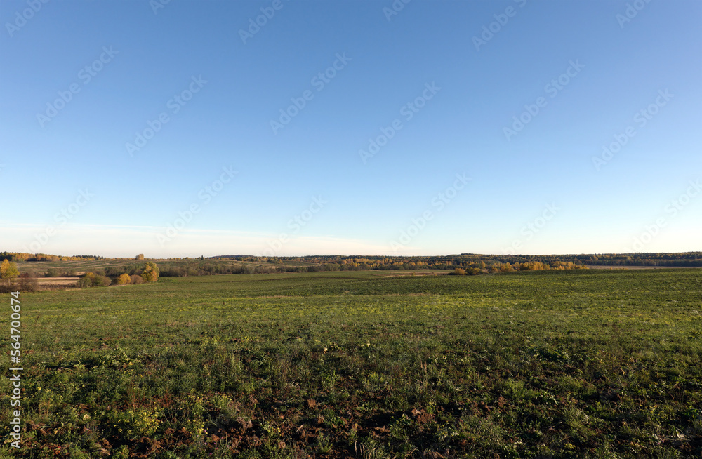 Beautiful countryside landscape with green field, mixed forests at far under blue cloudless sky in the early autumn sunny day