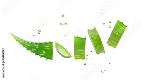 Leaf slices of medicinal pure aloe vera plant with flying drops isolated on white background.