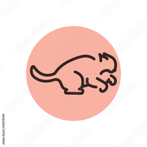 Evil cat fights color line icon. Pictogram for web page
