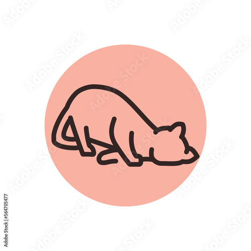 Happy cat caresses color line icon. Pictogram for web page