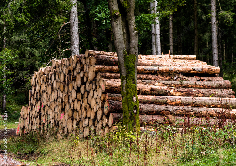 Holzstapel