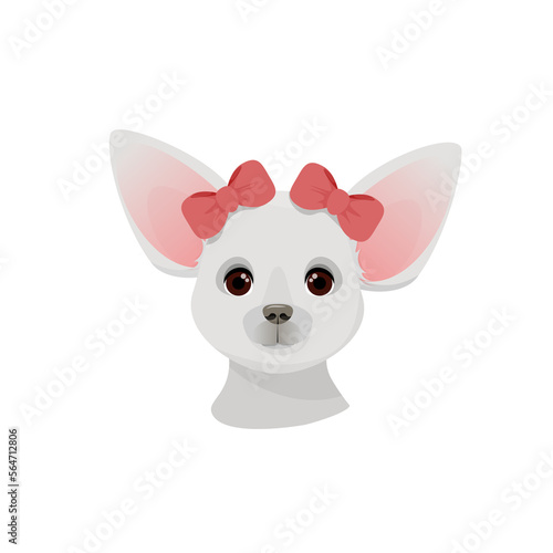 Gray chihuahua with red bows