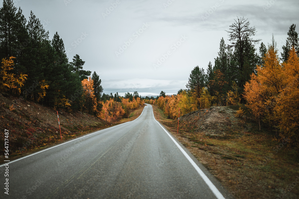 Fototapeta premium Empy road with landscape view in autumn Norway on a moody day during September