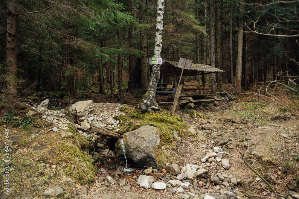 Source of pure mineral water in the mountains. Mountain spring in Ukraine