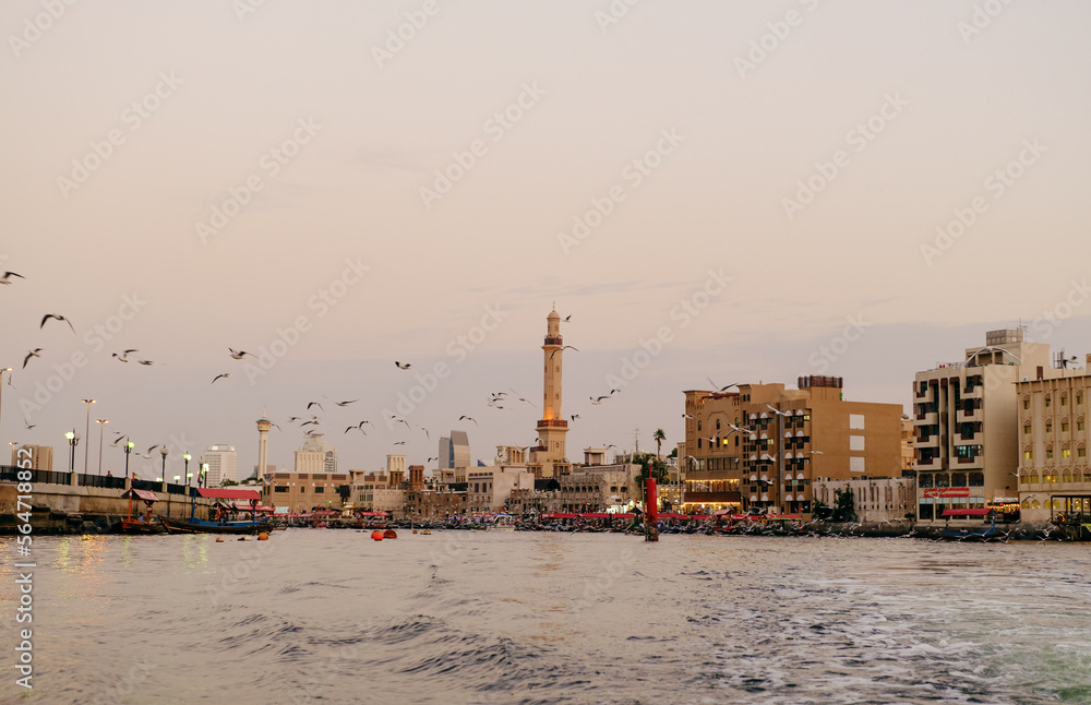 View of Dubai creek with lots of seagulls and at sunset, Dubai, UAE - obrazy, fototapety, plakaty 