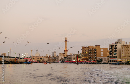 View of Dubai creek with lots of seagulls and at sunset, Dubai, UAE