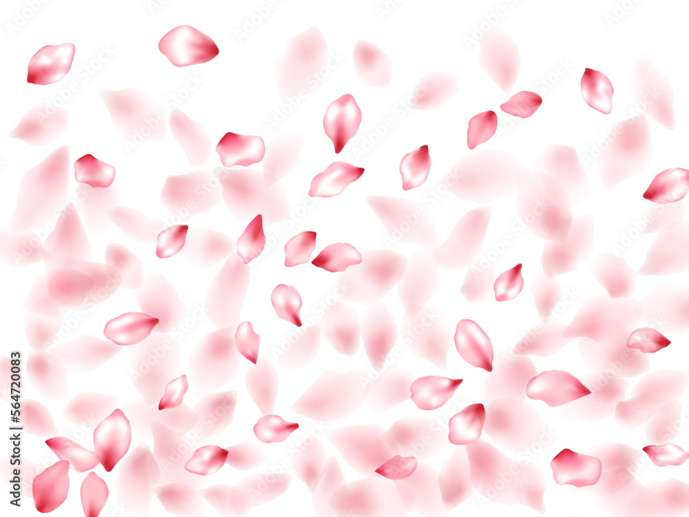 Pink sakura flower flying petals isolated on white vector background. Pink sakura flower flying petals isolated on white vector background.