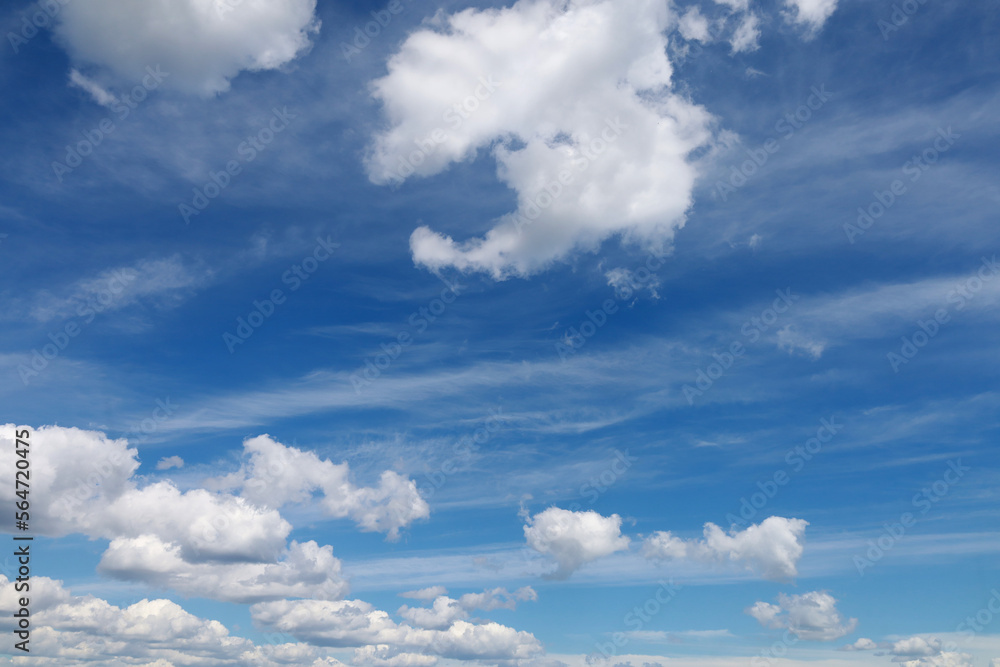 Obraz premium Blue sky with clouds. Spring or summer background. White clouds on the blue sky have a complex pattern. 