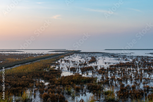 Salt marshes and cordgrass in the northwest of East Frisia in the seaside resort of Norddeich on the North Sea. Ground fog and the play of colors of the sunset invite you to take a walk by the sea