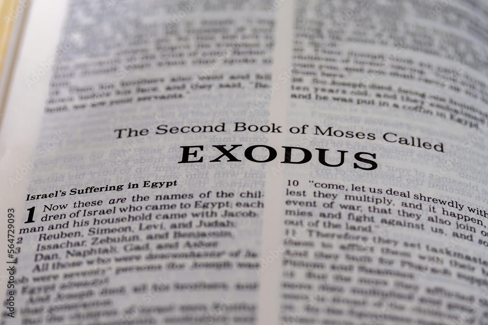 the second book of Moses from the bible called exodus title page image with bokeh, Old Testament or Torah for Christian and Jewish religion the second book of Moses from the bible called exodus title page image with bokeh, Old Testament or Torah for Christian and Jewish religion