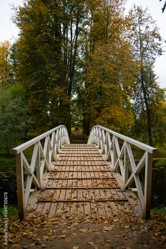 The front view to the old small bridge in the Pushkin's manor