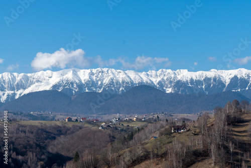 landscape in the winter