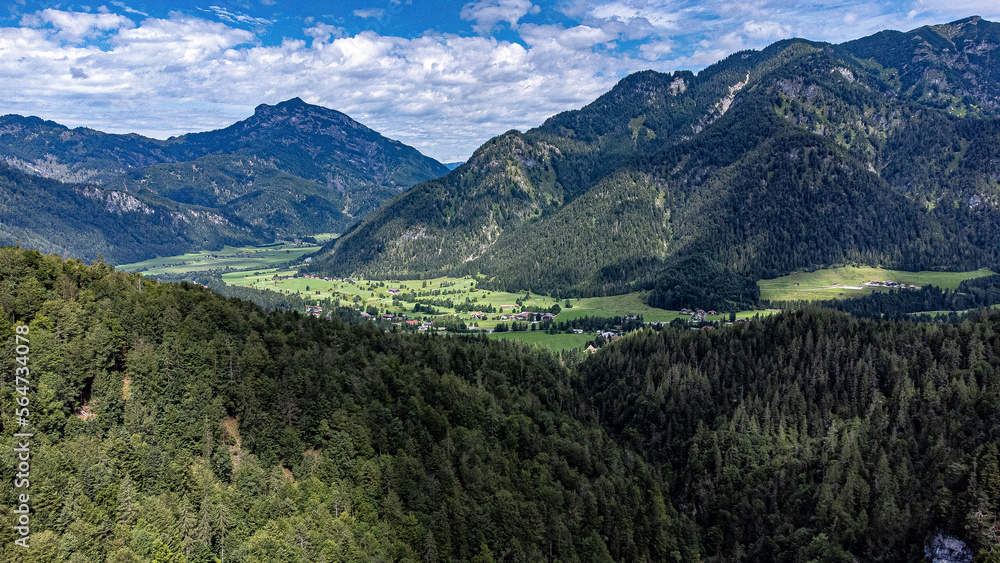 Naklejka premium landscape in the summer
