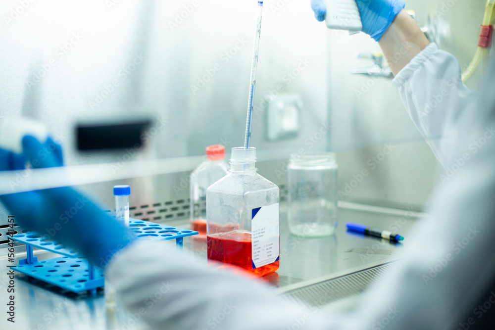 cell culture at the medicine, medical and cell culture laboratory cell culture at the medicine, medical and cell culture laboratory