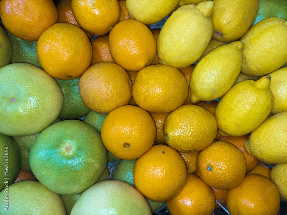 Sweetie, oranges and lemons - citrus fruits, top view.