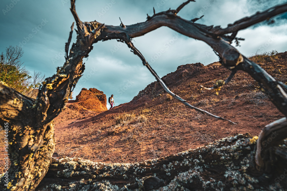 Backpacker woman enjoys hike along a steep cliff overlooking the sea and the rugged foothills of Madeira's coast in the morning. Ponta do Bode, Madeira Island, Portugal, Europe. Backpacker woman enjoys hike along a steep cliff overlooking the sea and the rugged foothills of Madeira's coast in the morning. Ponta do Bode, Madeira Island, Portugal, Europe.