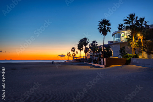 Palm trees on Playa de las Arenas beach at sunrise, Valencia. Spain