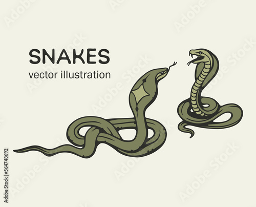 Snakes hand drawing 