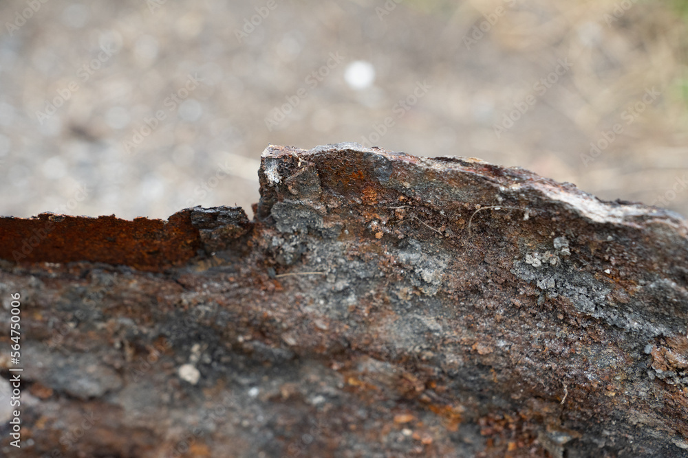Rusty metal barrel background texture, barren atmosphere. Rusty metal barrel background texture, barren atmosphere.