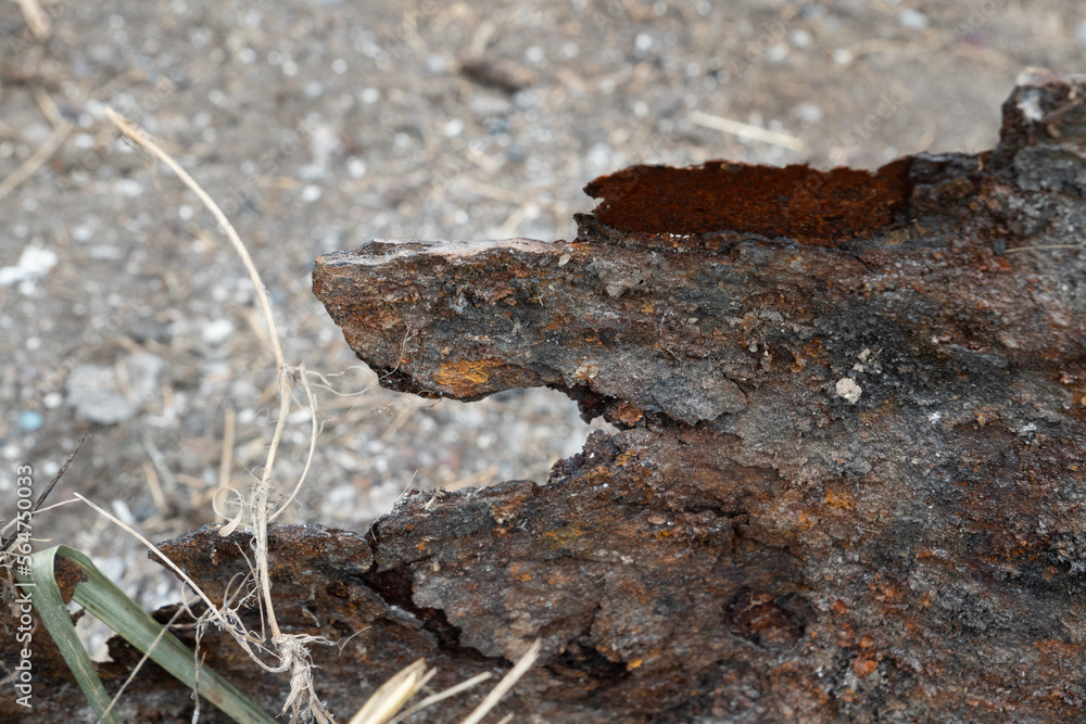 Rusty metal barrel texture, barren atmosphere. Rusty metal barrel texture, barren atmosphere.