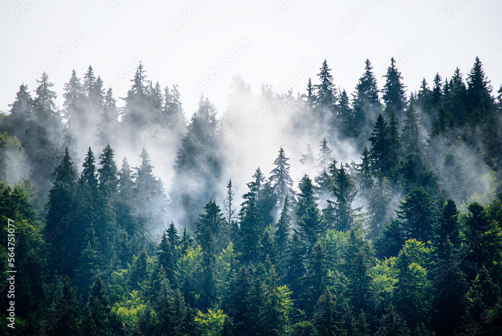 Misty mountain landscape Misty mountain landscape