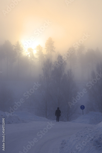 Winter walk in fog