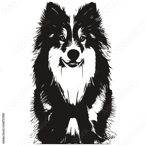 Shetland Sheepdog dog line art hand drawing vector logo black and white pets illustration