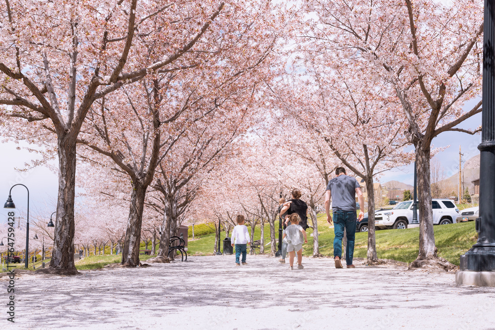 Gente caminando por un sendero bajo árboles de cerezo. Primavera en Salt Lake City, Utah, EU.
