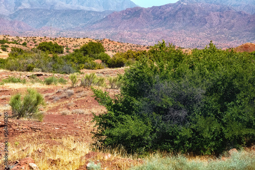 Desert landscapes of mountainous Morocco on a sunny day.