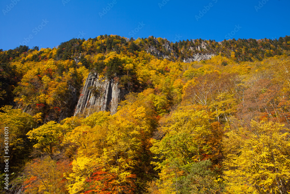 Tenninkyo in autumn and majestic columnar joints Tenninkyo in autumn and majestic columnar joints