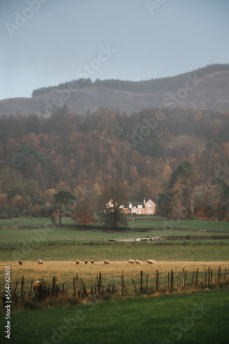 Verstecktes Haus in einer gr  nen Landschaft Schottlands