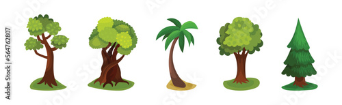 Tree with Exuberant Green Foliage and Trunk Vector Set