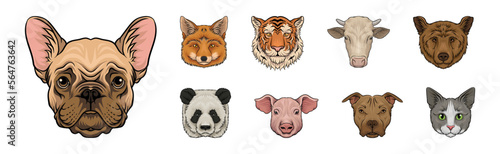 Wild and Domestic Animal Snout or Muzzle with Fur Vector Set