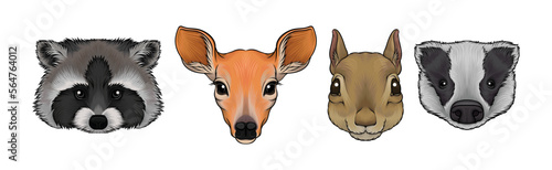 Wild Forest Living Animal Snout and Muzzle with Fur Vector Set