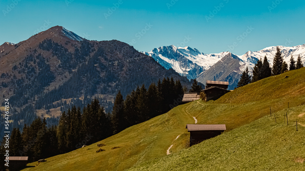 Beautiful alpine summer view at the famous Penken summit, Mayrhofen, Tyrol, Austria