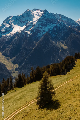 Beautiful alpine summer view at the famous Penken summit, Mayrhofen, Tyrol, Austria