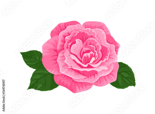 Pink rose flower and green leaves isolated on white background. Floral icon. Vector cartoon illustration. Design element.