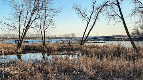 Spring marsh next to lake
