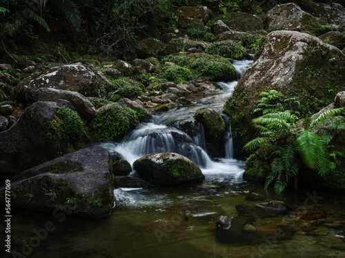 Moss covered natural waterslide rockpools Cleopatras Pool at Torrent river Bay in Abel Tasman National Park New Zealand