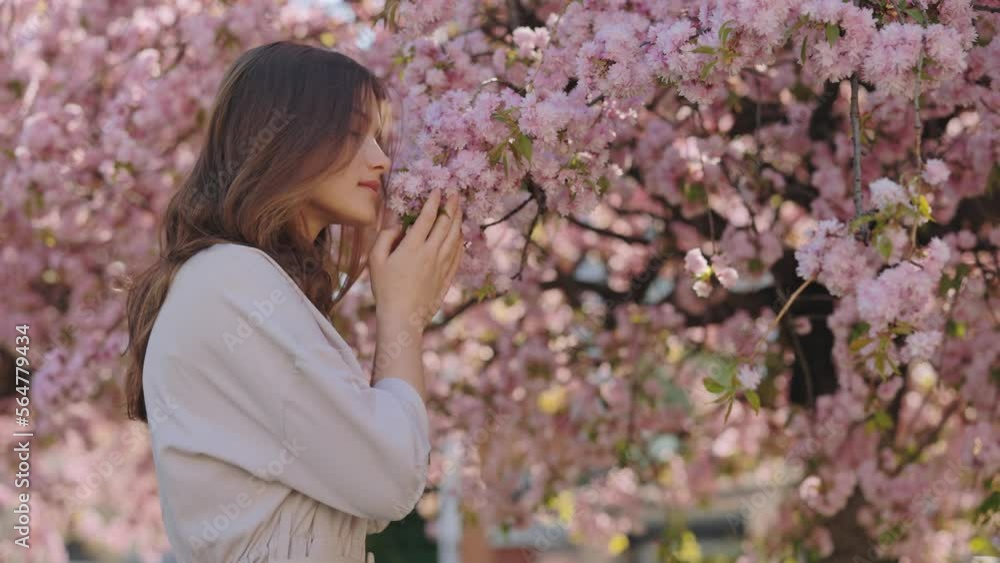 Charming dark haired woman enjoying aroma from spring blossoms on sakura tree. Caucasian young lady turning head and looking at camera with smile. Charming dark haired woman enjoying aroma from spring blossoms on sakura tree. Caucasian young lady turning head and looking at camera with smile.