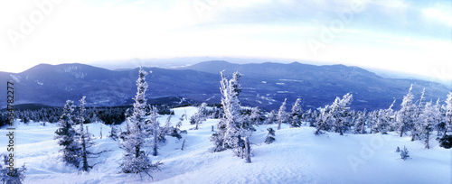 Snowy mountain and snow covered trees.