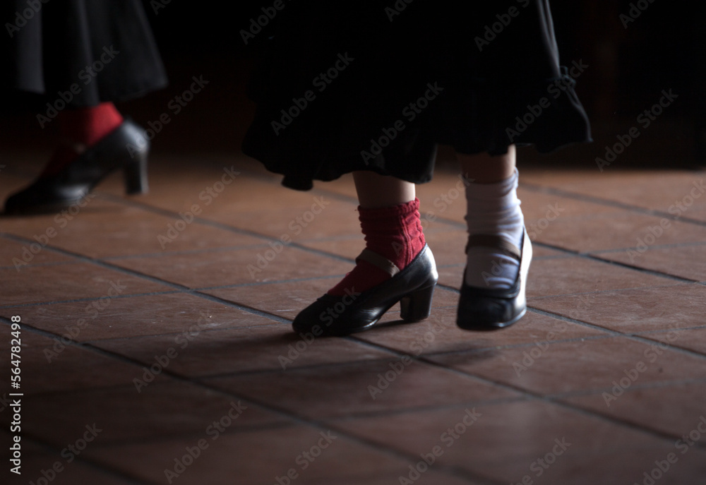 A girl stamps her feet as she practices with the Flamenco Dance group Savia Nueva directed by Olga Nuria in the Pena Cultural Flamenca La Petenera in Paterna de Rivera, Cadiz provi A girl stamps her feet as she practices with the Flamenco Dance group Savia Nueva directed by Olga Nuria in the Pena Cultural Flamenca La Petenera in Paterna de Rivera, Cadiz provi