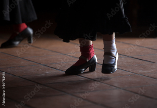 A girl stamps her feet as she practices with the Flamenco Dance group Savia Nueva directed by Olga Nuria in the Pena Cultural Flamenca La Petenera in Paterna de Rivera, Cadiz provi photo