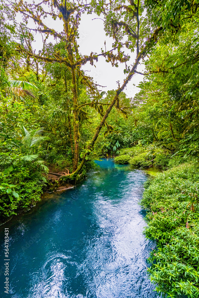 Naklejka premium Water at the junction of Rio Buenavista and Quebrada Agriawhere its tributaries come together and the water is observed in shades ranging from aquamarine, sky-blue, light blue, turquoise, to deep blue